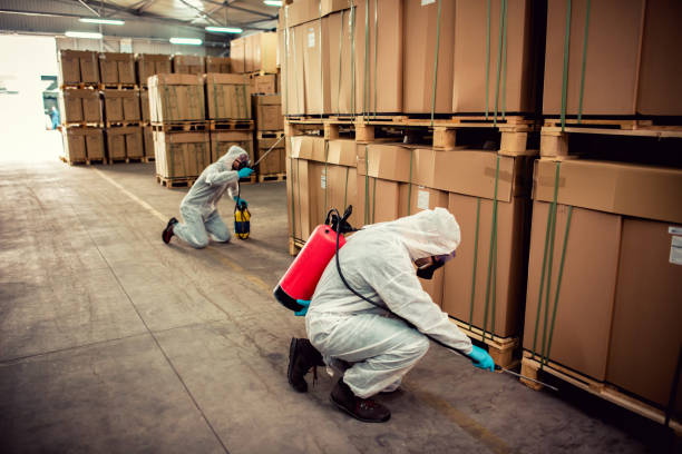 Best Exterminator Services  in East Bernard, TX