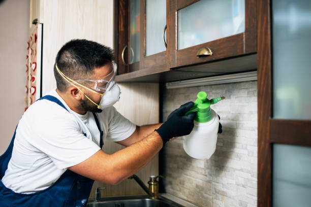 Best Pest Control for Restaurants  in East Bernard, TX