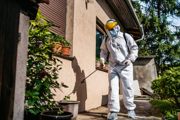 Best Flea Control Services  in East Bernard, TX