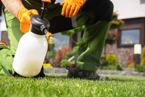 Best Termite Control Services  in East Bernard, TX