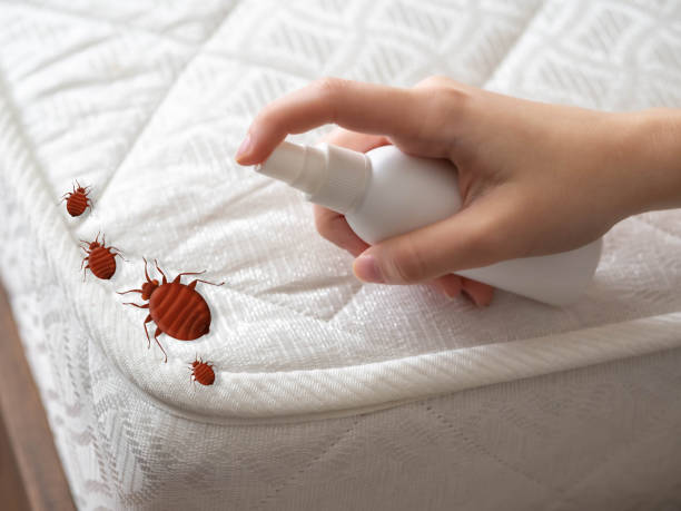 Professional Pest Control in East Bernard, TX