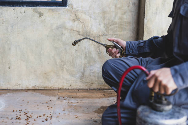 Pest Control Cost in East Bernard, TX
